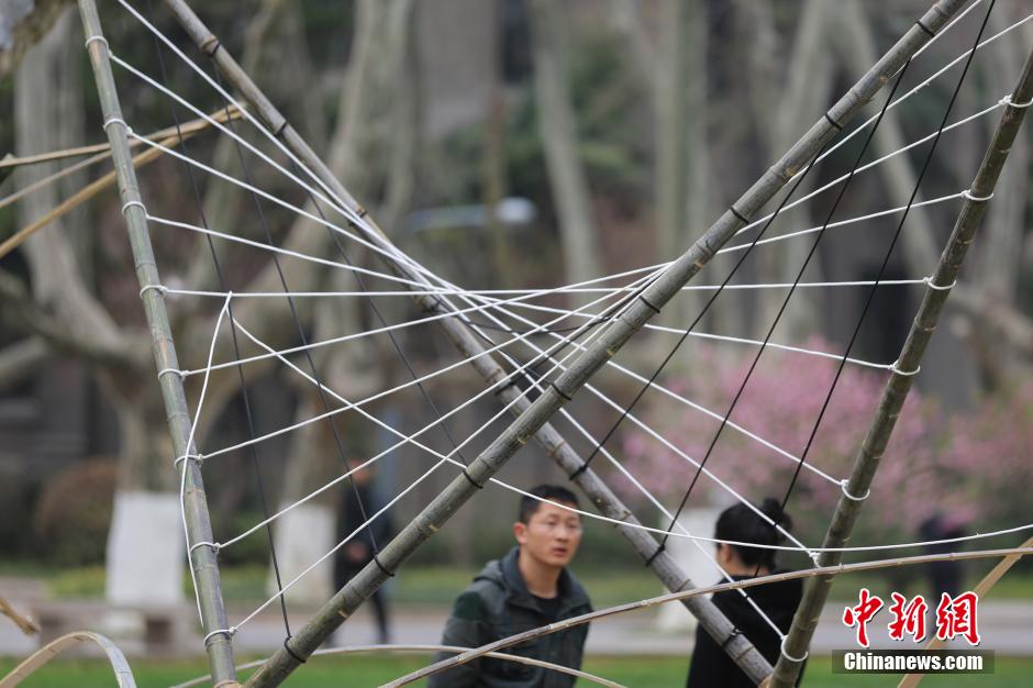 南京大学生用“竹子”搭建创意建筑