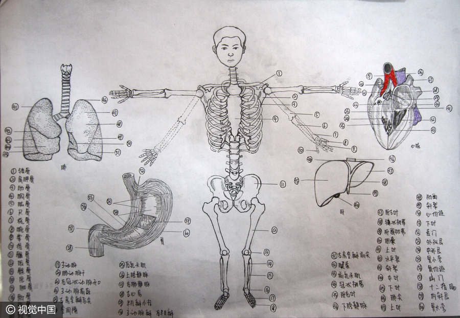 University students create skeleton paintings