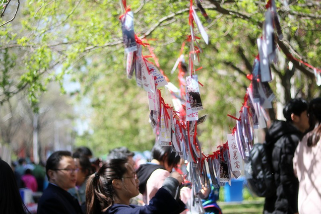 Crabapple blossom festival at TJU