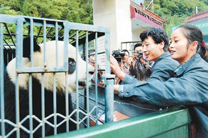 New home opens to pandas