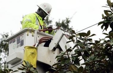 Mississippi Power electric service person Darrell Rudolph fights through a magnolia tree top branches as he works to restore power in a Pascagoula, Miss., neighborhood Sunday, July 10, 2005. A limited number of homes lost their power during the land fall of Hurricane Dennis. (AP