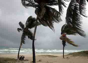 Palm trees bend in the wind as Hurricane Rita passes near Cuba in Varadero, September 20, 2005. As strengthening Hurricane Rita lashed the low-lying islands of the Florida Keys, hurricane warnings were also in effect for northwestern Cuba where thousands of people were evacuated from flood-prone coastal areas. [Reuters]