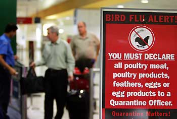 Arriving passengers pass through a gate manned by an Australian quarantine officer (L) near a new bird flu alert sign in the arrivals hall at Sydney's international airport September 28, 2005. Australia, so far free from Asia's deadly strain of bird flu, is patrolling its northern regions to guard against infection from migratory birds and screening airline passengers for poultry products.