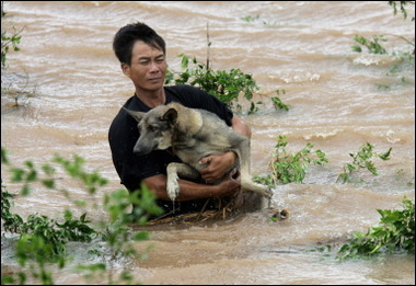 A farmer carries a dog from his flooded house in Hai Hoa commune, in the northern province of Nam Dinh following the passage of Typhoon Damrey which left at least 57 people dead and caused widespread destruction(AFP/File