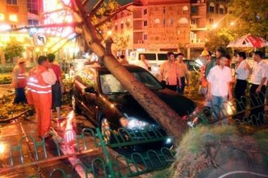 Road workers carry out relief efforts as a car is seen under a fallen tree which was uprooted by gusts of wind from Typhoon Longwang in Quanzhou, east China's Fujian province, October 2, 2005.