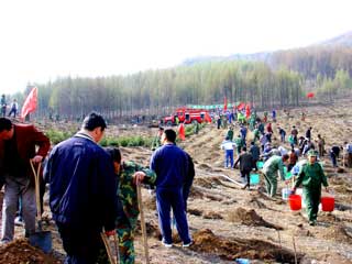 Tree-planting campaign in Benxi