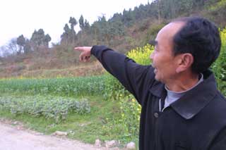 An astray giant panda sent back to the natural reserve