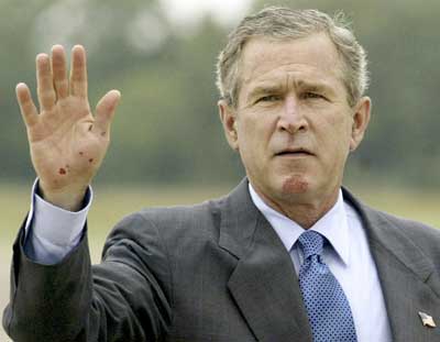 US diplomats urge voters to remove Bush