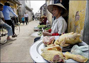 Bird flu kills 47th Asian victim in Vietnam