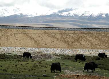 Qinghai-Tibet Railway