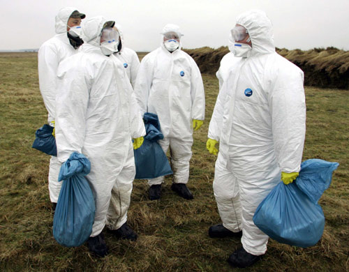 German army battle to halt bird flu spread