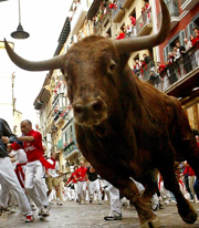 Adrenaline junkies of all ages flock to pamplona