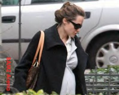 Lions to protect pregnant Jolie's privacy