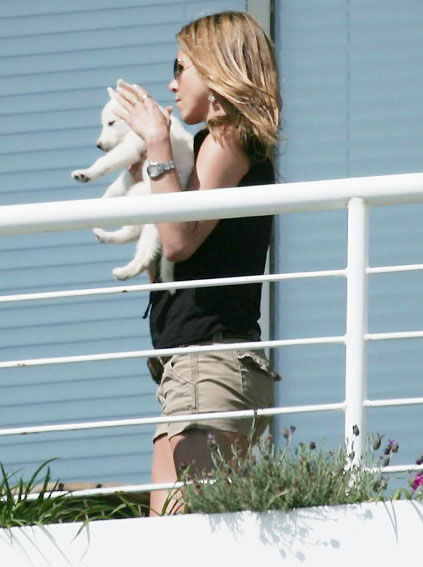 Jennifer Aniston's new pet pooch