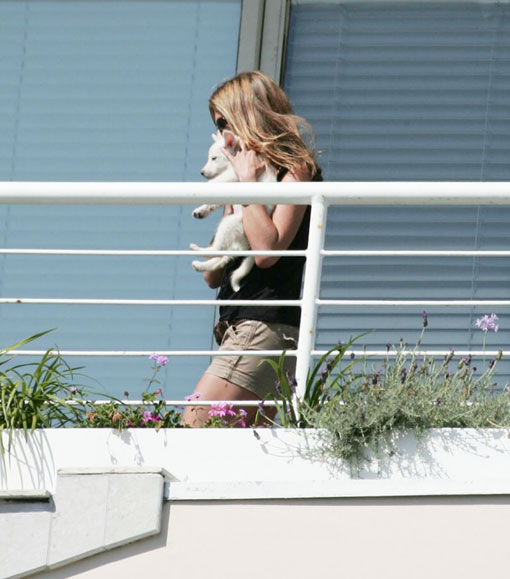 Jennifer Aniston's new pet pooch