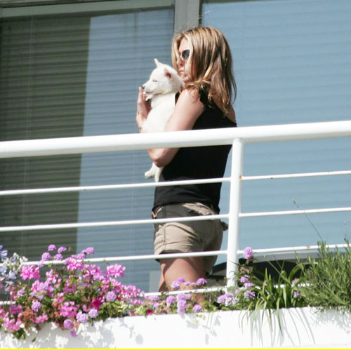 Jennifer Aniston's new pet pooch