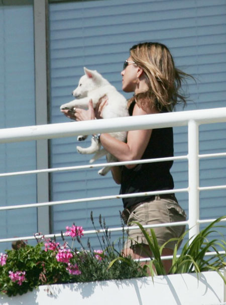 Jennifer Aniston's new pet pooch