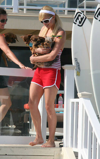 Paris Hilton and her puppies