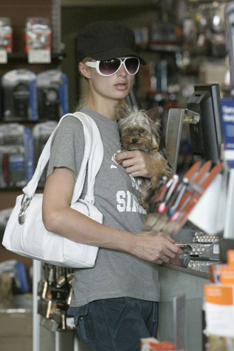 Paris Hilton and her puppies