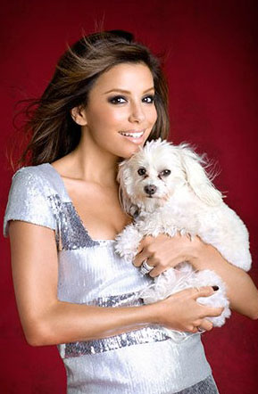 Eva Longoria's photo album