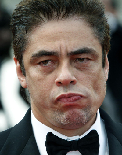 Jury member Benicio Del Toro