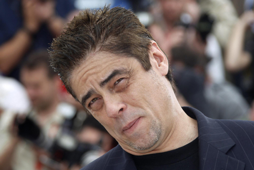 Jury member Benicio Del Toro