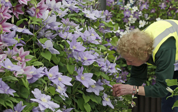 The Chelsea Flower Show 2011 in London