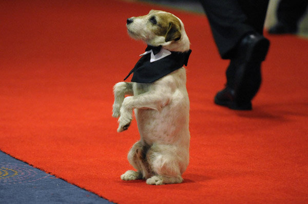 Celebrities attend White House Correspondents' Association Dinner