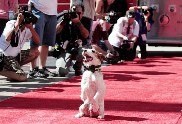 Dog Uggie's moment