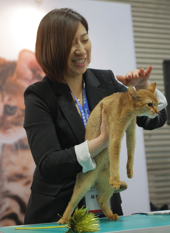 Shanghai Pet Fair