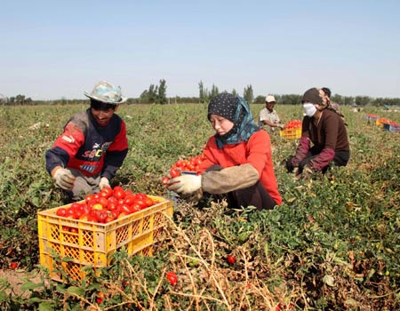 Photos illustrate Xinjiang White Paper on on Development and Progress