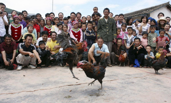 Yi nationality has fun at Torch Festival