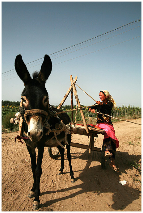 Experiencing Xinjiang (I)