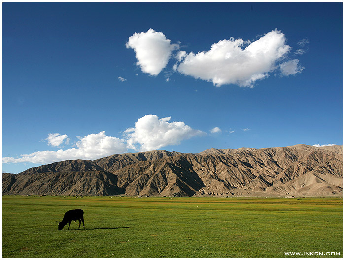 Experiencing Xinjiang (II)