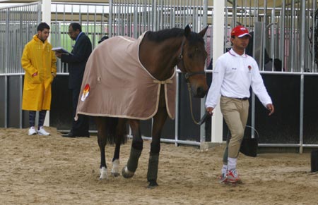 A horse is led out of its stable at the Doha Racing and Equestrian club during the 15th Asian Games in Doha December 7, 2006, after South Korean eventer Kim Hyung-chil died following an equestrian accident on Thursday. Kim's horse Bundaberg Black rolled over him after a heavy fall in wet conditions during the individual cross country event.[Reuters]