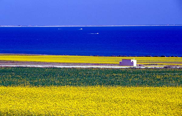 Qinghai Lake