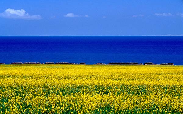 Qinghai Lake