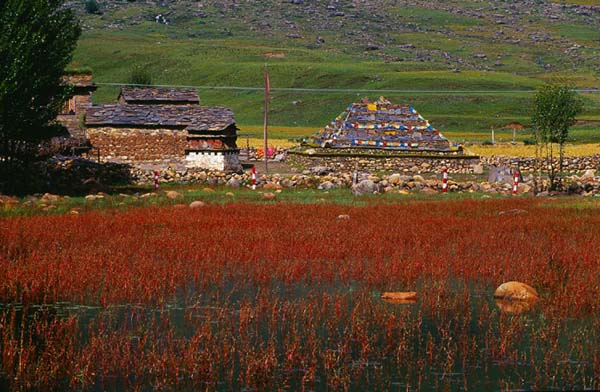 Red grassland, Daocheng County, Sichuan Province