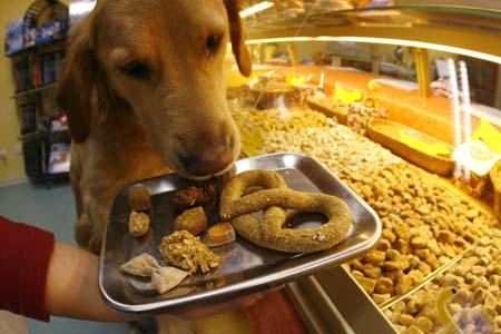 'Dog's Goodies' shop owner Janine Saraniti-Lagerin presents a selection of dog biscuits to her labrador Ronja in her dogs-only bakery in the western German city of Wiesbaden January 8, 2007. Saraniti-Lagerin, a former florist, sells her self-baked dog biscuits and fancy cakes to clients from many countries. 