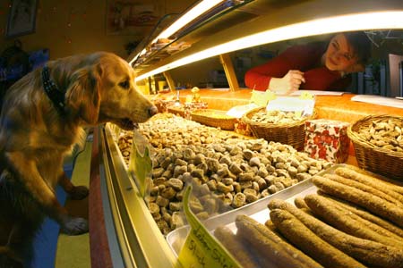 Labrador Ronja stands next to the display in its owner's dogs-only bakery in the western German city of Wiesbaden January 8, 2007. 'Dog's Goodies' shop owner Janine Saraniti-Lagerin, a former florist, sells her self-baked dog biscuits and fancy cakes to clients from many countries. 