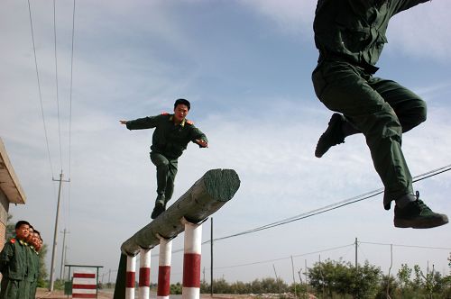 Photo selections of Zhang Bo