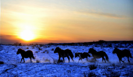 Snow-decorated north China prairie