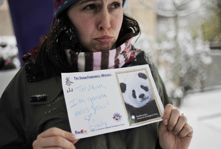 US panda lovers brave snow to bid farewell to Tai Shan