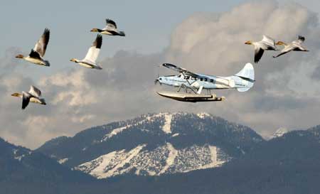 Snapshots of Vancouver before Winter Olympics