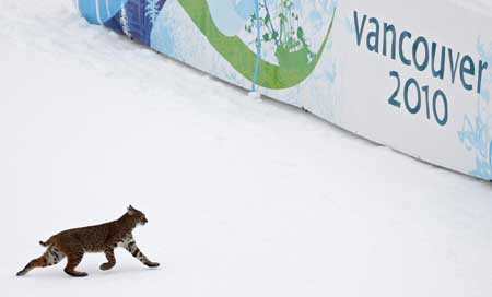 Snapshots of Vancouver before Winter Olympics