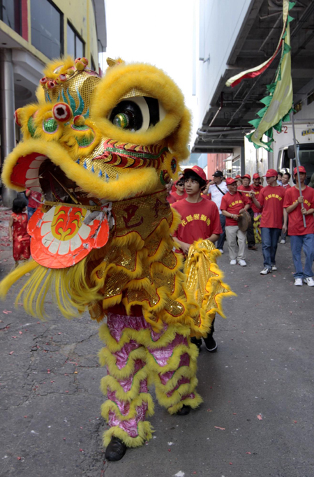 Chinese New Year,global celebrations (3)