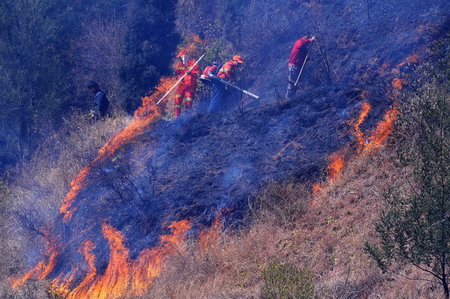 Forest fire in Dali