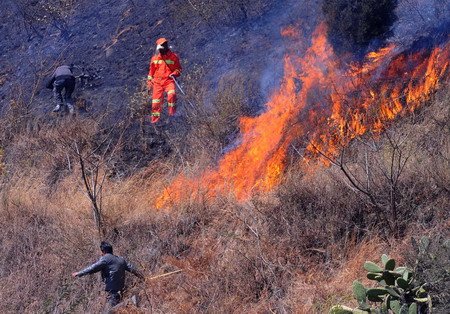 Forest fire in Dali