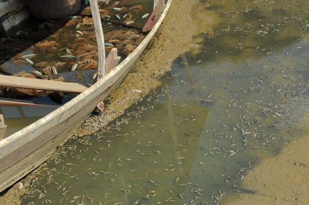 Drought affects over 1.5 million people in Guizhou