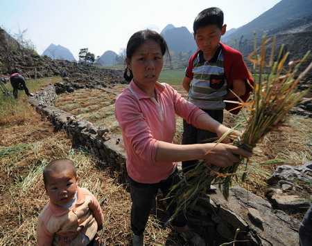 Drought affects over 1.5 million people in Guizhou